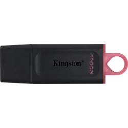 Pendrive Kingston Exodia 256Gb USB-A Negro (DTX/256GB)