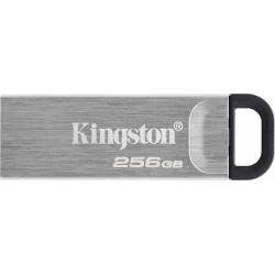 Imagen de Pendrive Kingston 256Gb USB-A 3.0 Plata (DTKN/256GB)