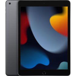 Apple iPad 2021 10.2`` 256GB WIFI Gris espacial (Novena generacion) [foto 1 de 5]